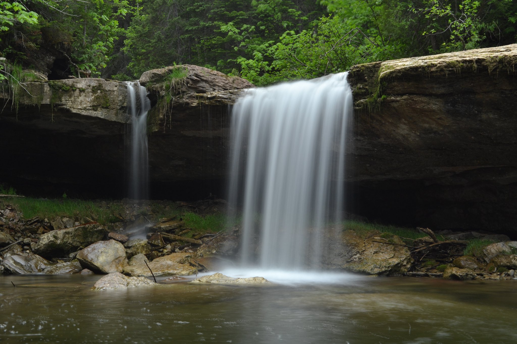forest, Jungle, River, Rocks, Stones, Waterfalls, Canada Wallpaper