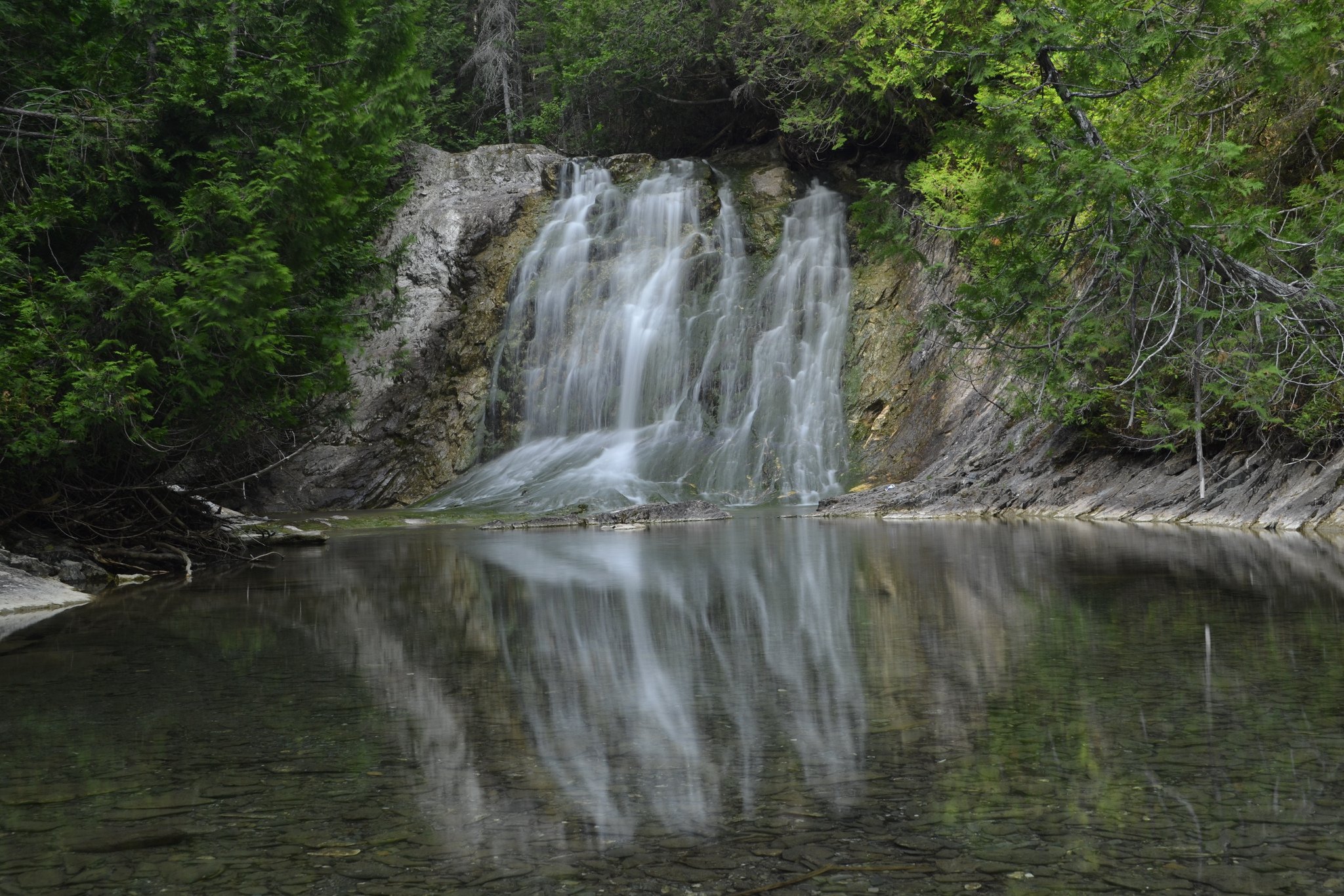 forest, Jungle, River, Rocks, Stones, Waterfalls, Canada Wallpaper