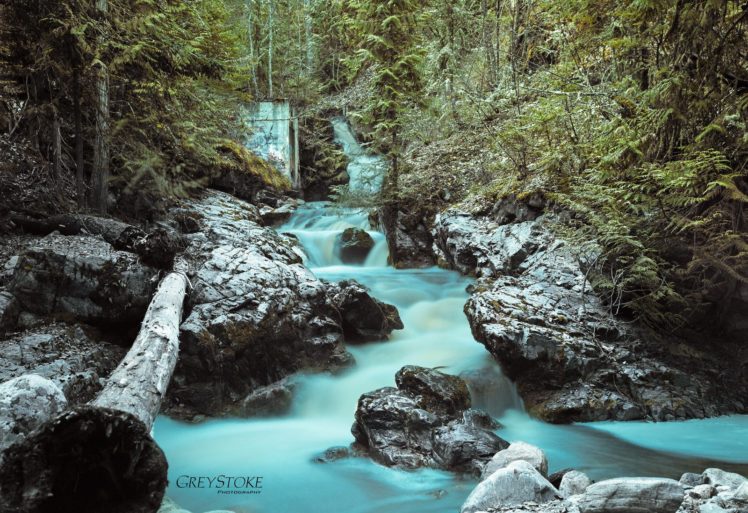 forest, Jungle, River, Rocks, Stones, Waterfalls, Canada HD Wallpaper Desktop Background