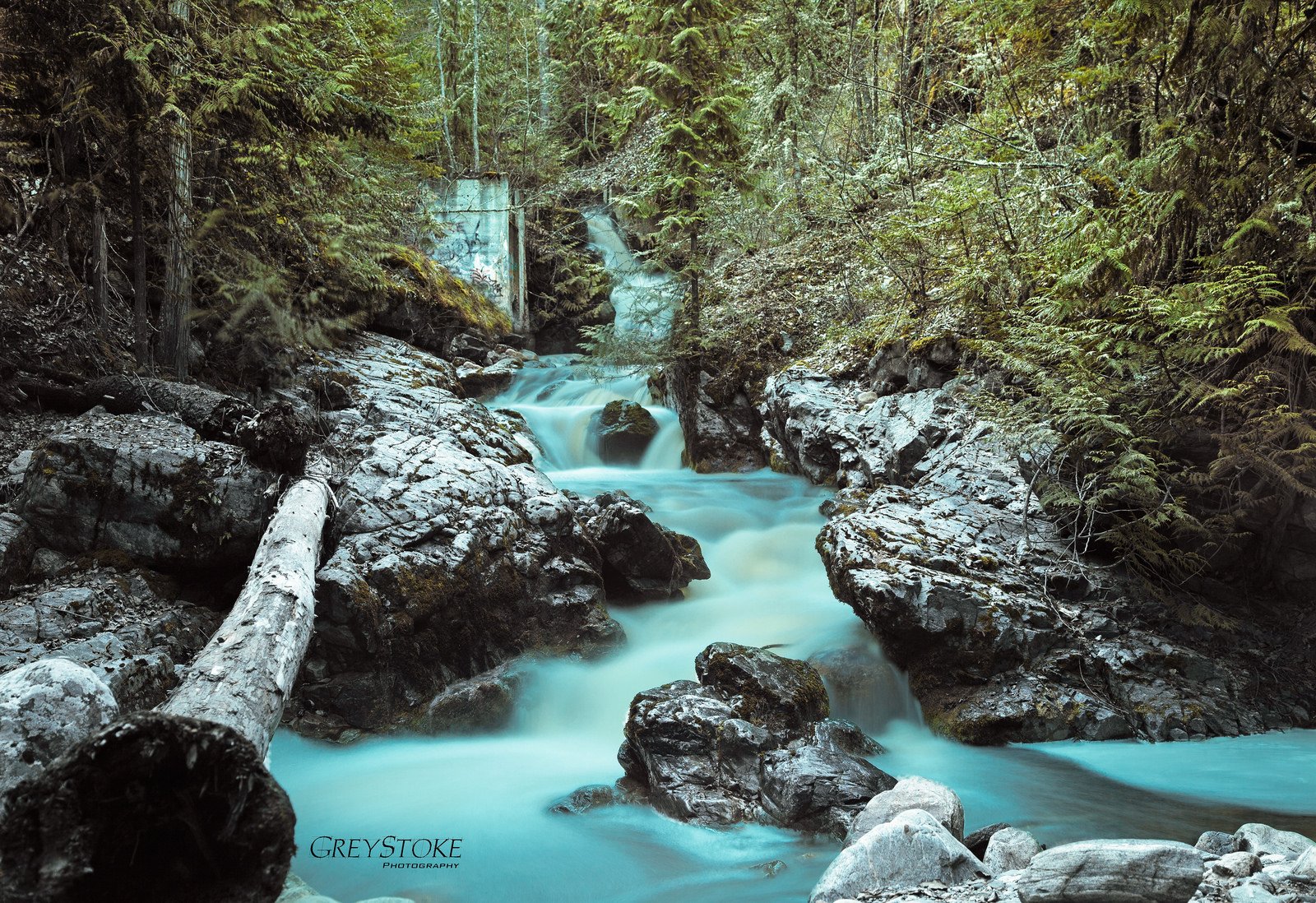 forest, Jungle, River, Rocks, Stones, Waterfalls, Canada Wallpaper