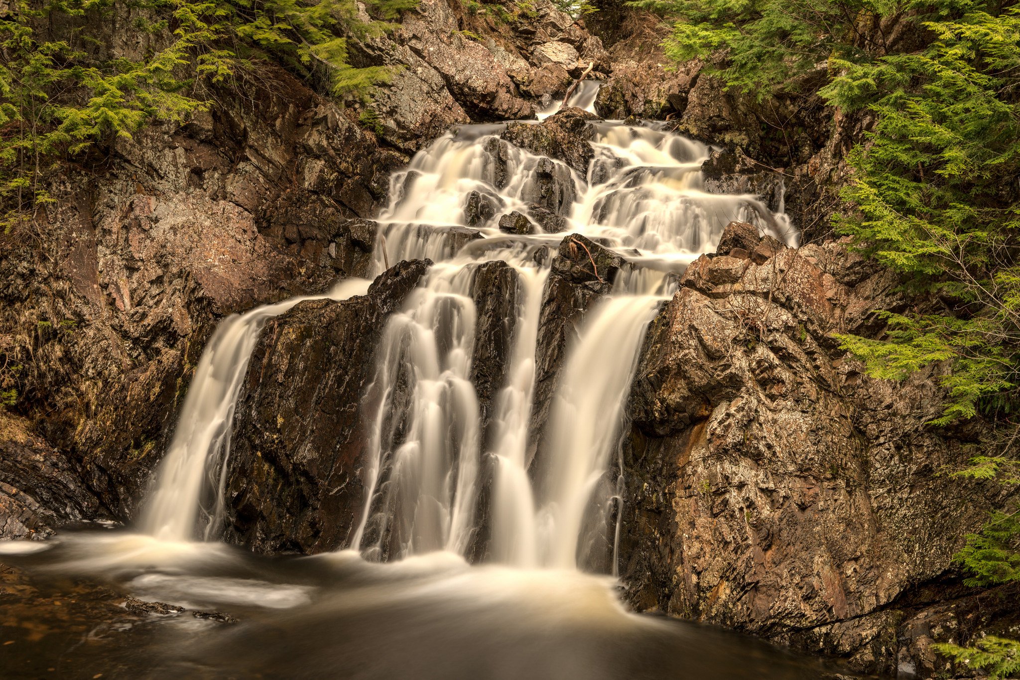forest, Jungle, River, Rocks, Stones, Waterfalls, Canada Wallpaper