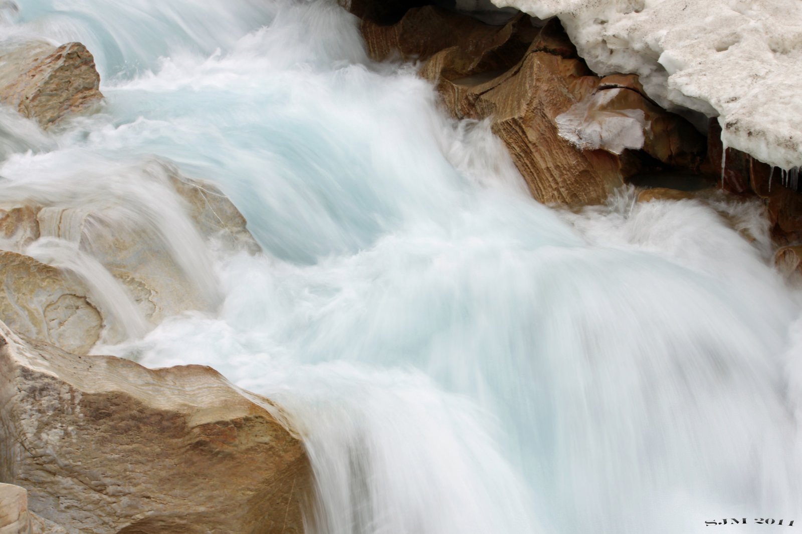 forest, Jungle, River, Rocks, Stones, Waterfalls, Canada Wallpaper
