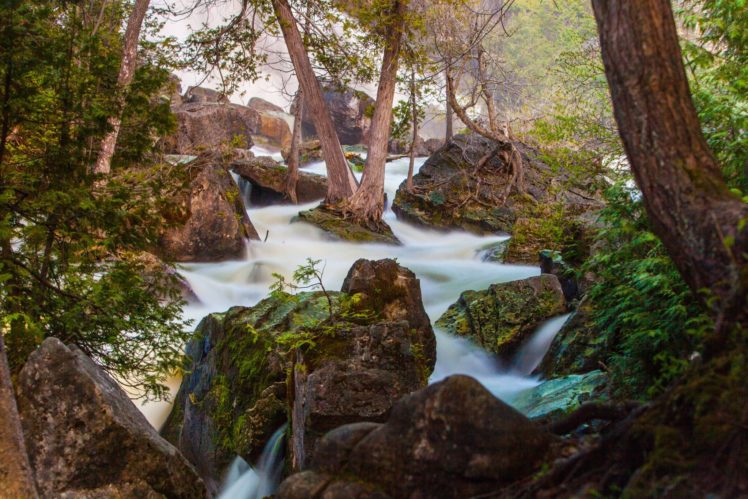 forest, Jungle, River, Rocks, Stones, Waterfalls, Canada HD Wallpaper Desktop Background