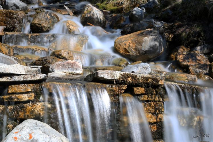 forest, Jungle, River, Rocks, Stones, Waterfalls, Canada HD Wallpaper Desktop Background