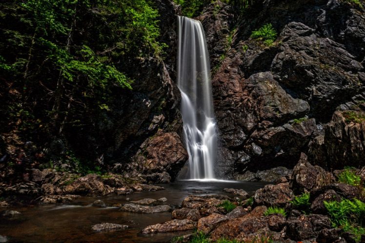 forest, Jungle, River, Rocks, Stones, Waterfalls, Canada HD Wallpaper Desktop Background