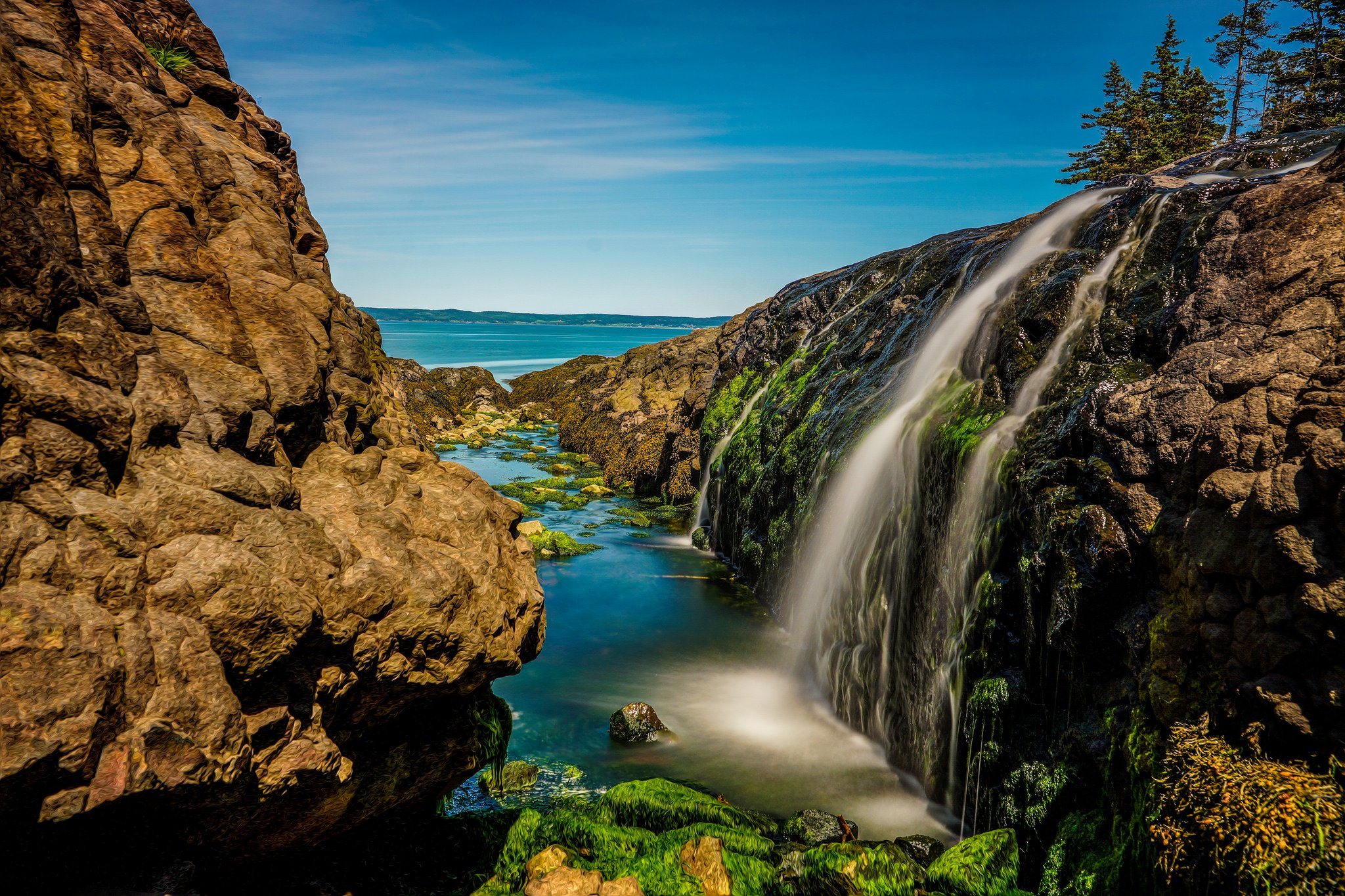 forest, Jungle, River, Rocks, Stones, Waterfalls, Canada Wallpaper