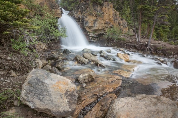 forest, Jungle, River, Rocks, Stones, Waterfalls, Canada HD Wallpaper Desktop Background