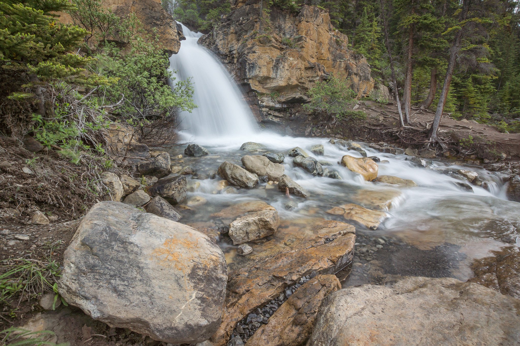 forest, Jungle, River, Rocks, Stones, Waterfalls, Canada Wallpaper