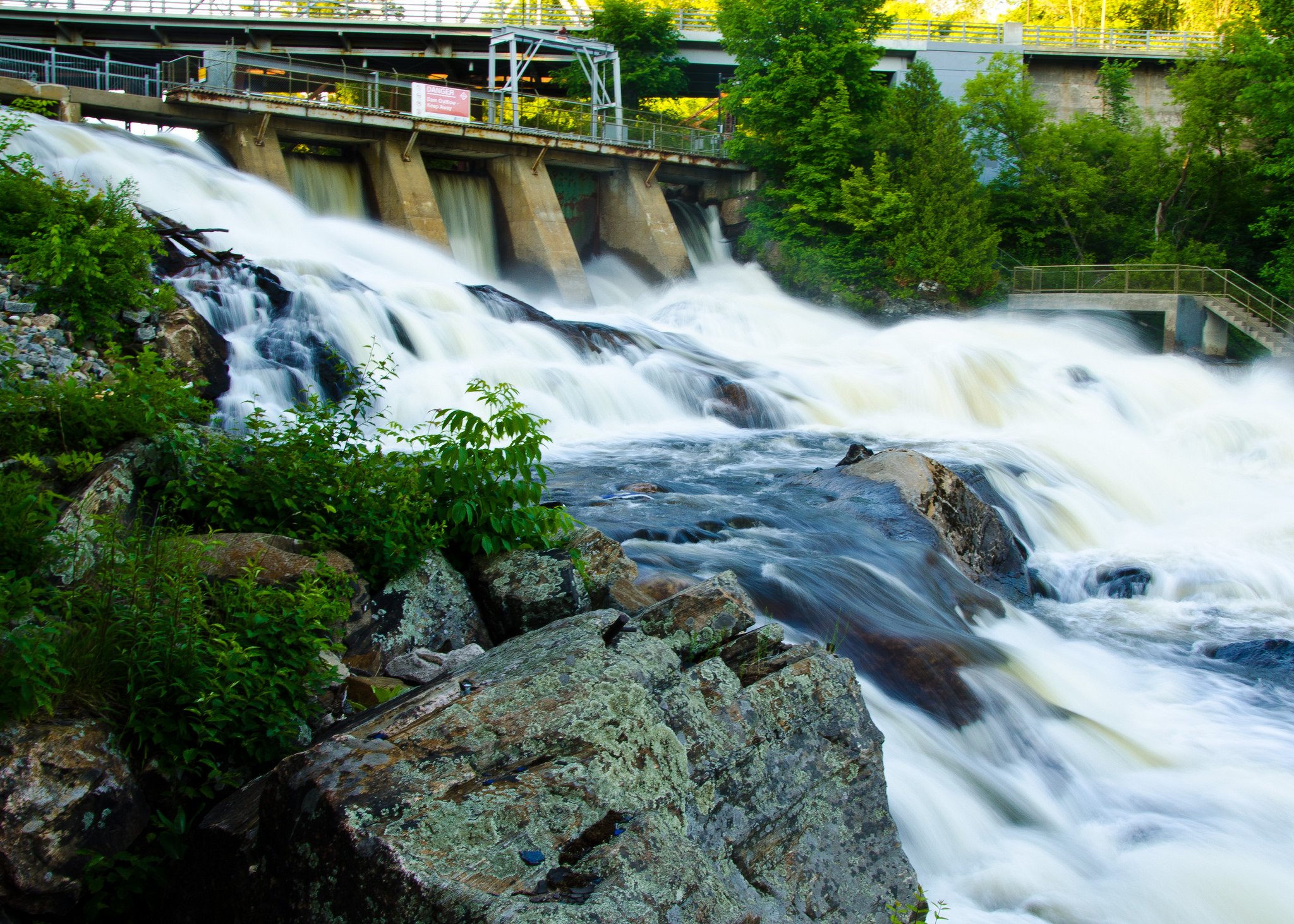 forest, Jungle, River, Rocks, Stones, Waterfalls, Canada Wallpaper