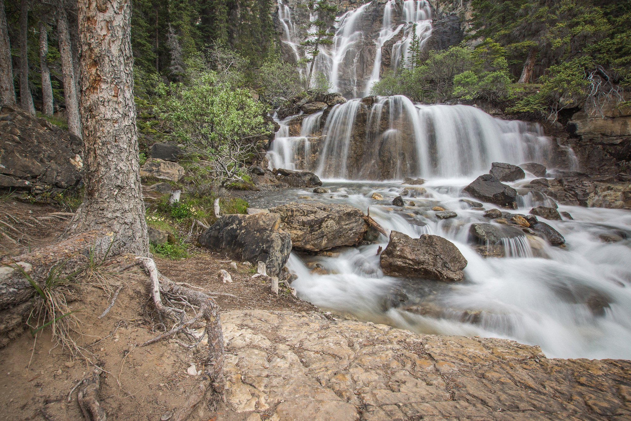forest, Jungle, River, Rocks, Stones, Waterfalls, Canada Wallpaper