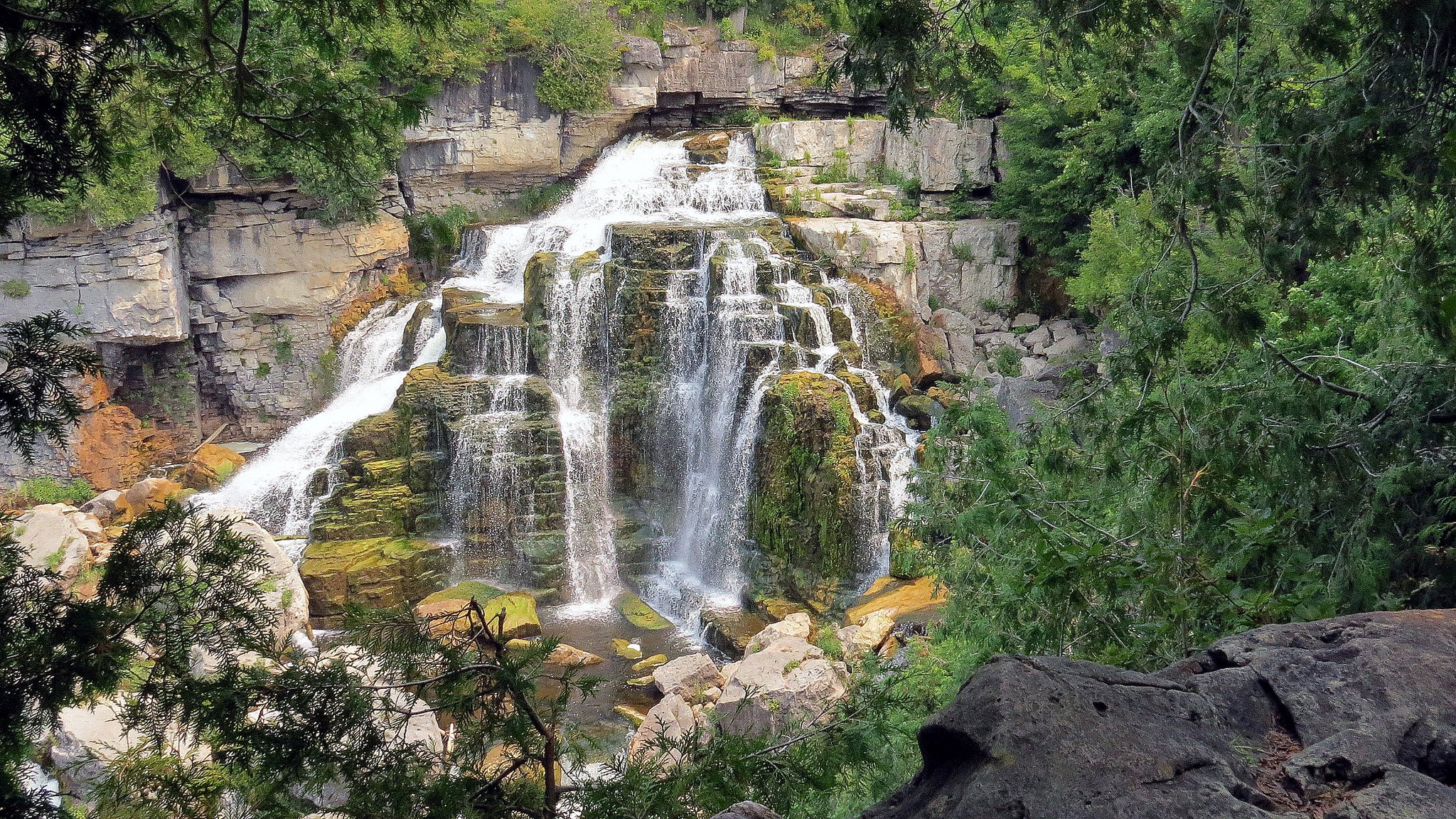 forest, Jungle, River, Rocks, Stones, Waterfalls, Canada Wallpaper