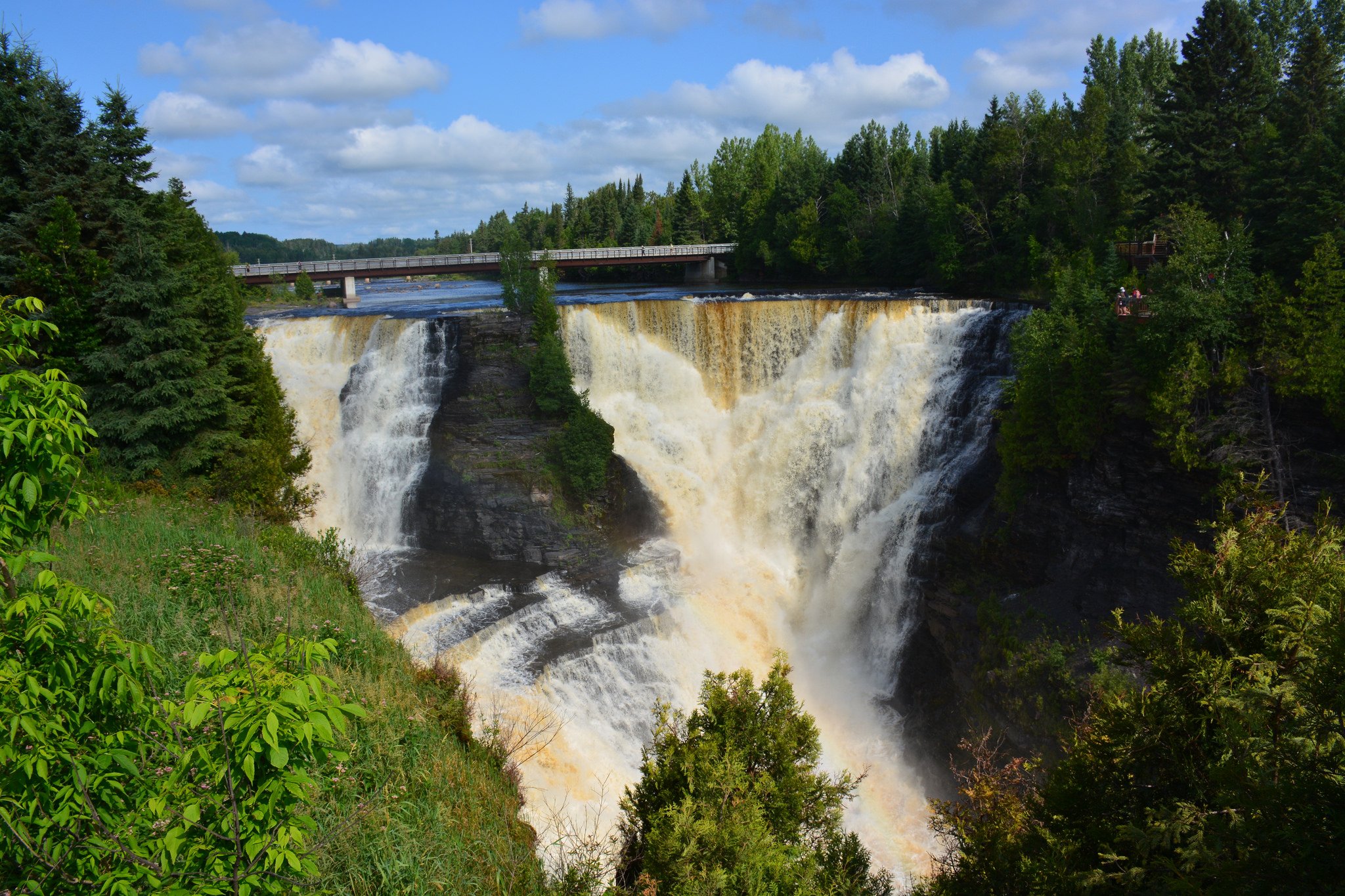 forest, Jungle, River, Rocks, Stones, Waterfalls, Canada Wallpaper