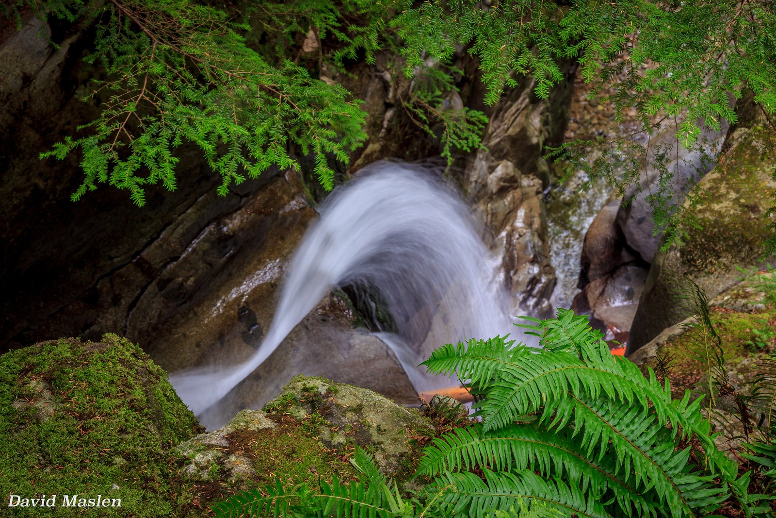 forest, Jungle, River, Rocks, Stones, Waterfalls, Canada Wallpaper