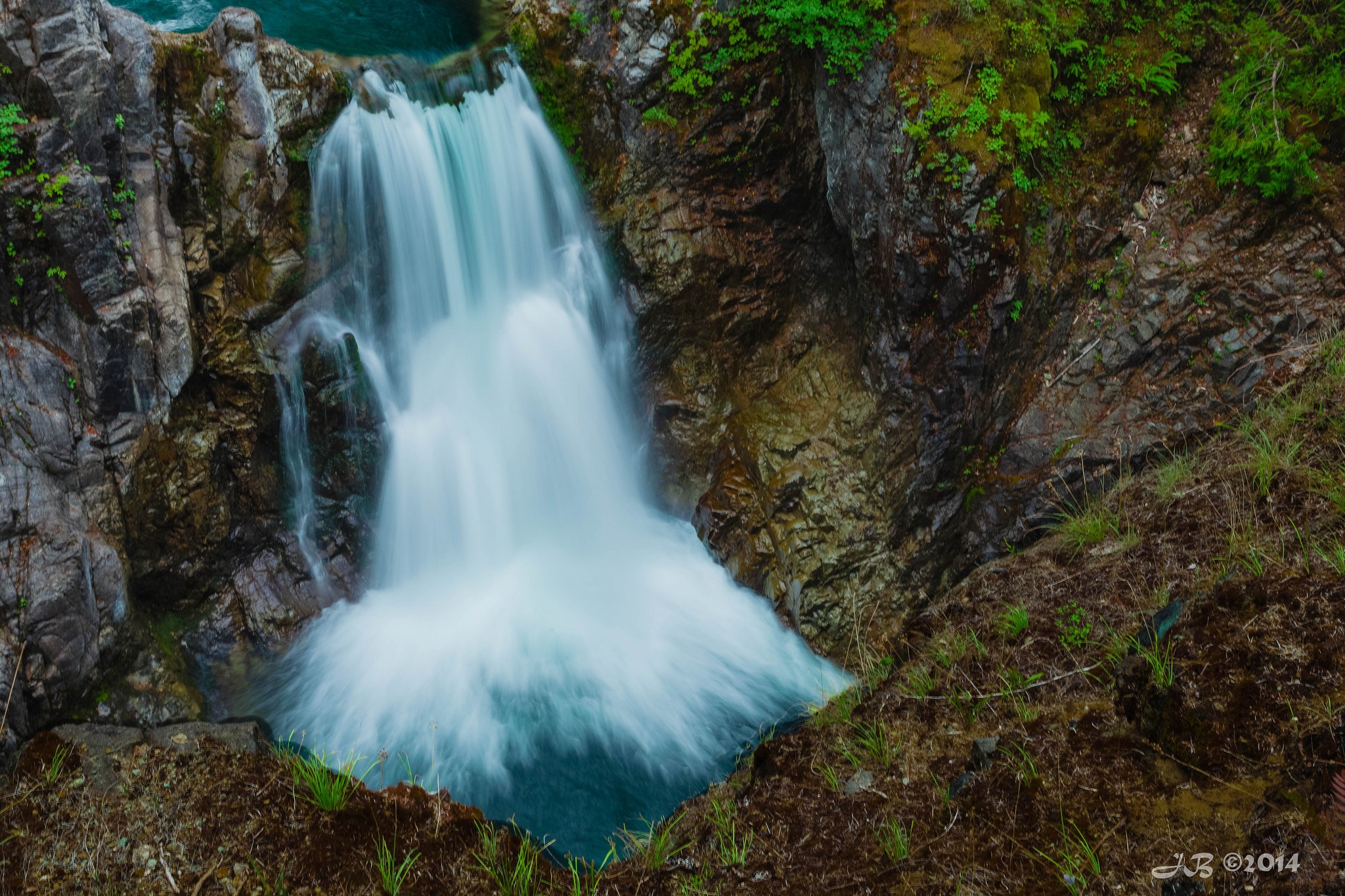 forest, Jungle, River, Rocks, Stones, Waterfalls, Canada Wallpaper