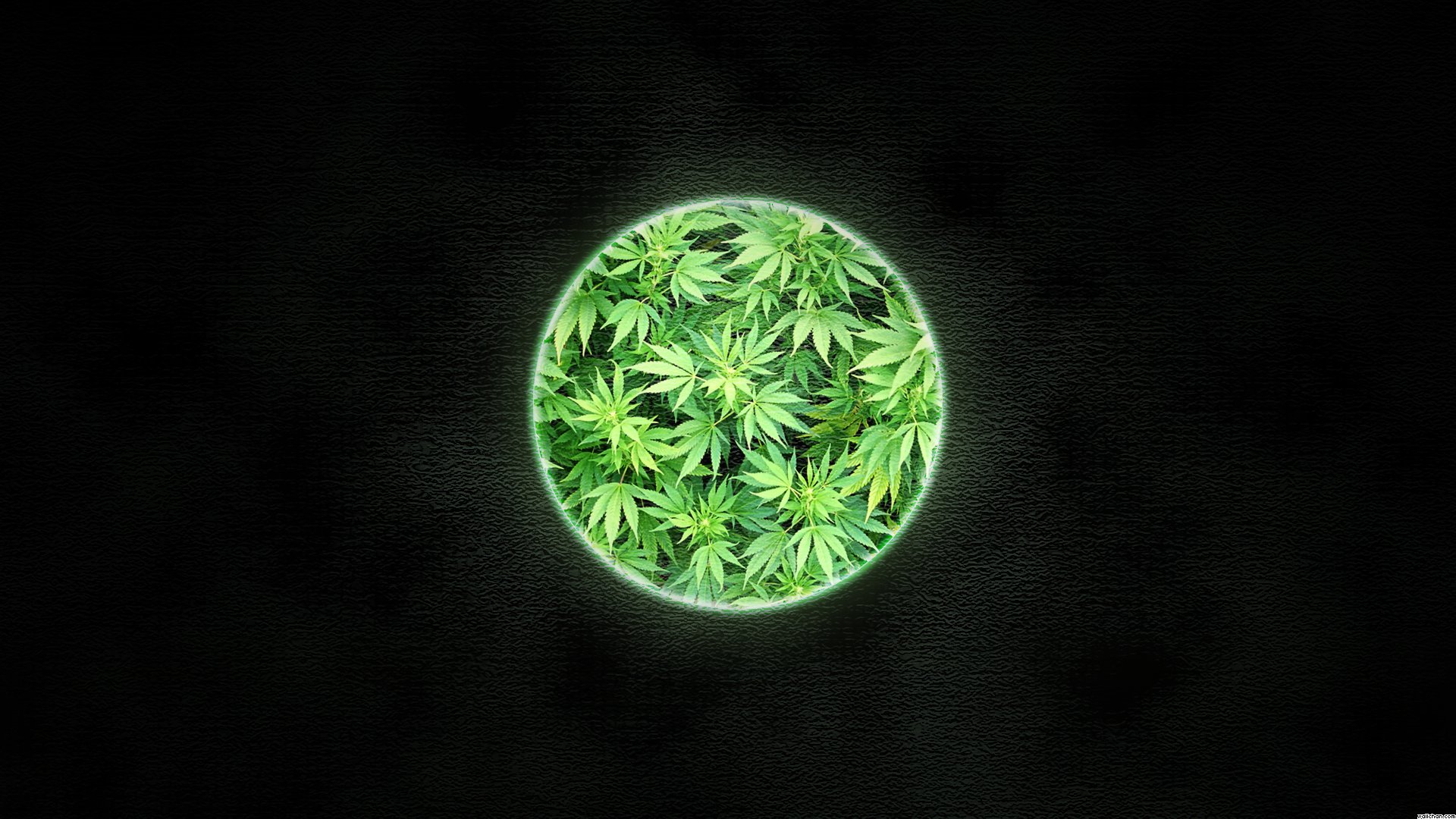 weed Wallpaper