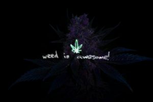 weed, Is, Awesome