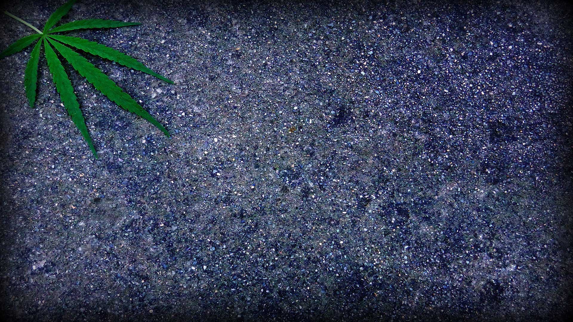 weed, On, The, Street Wallpaper
