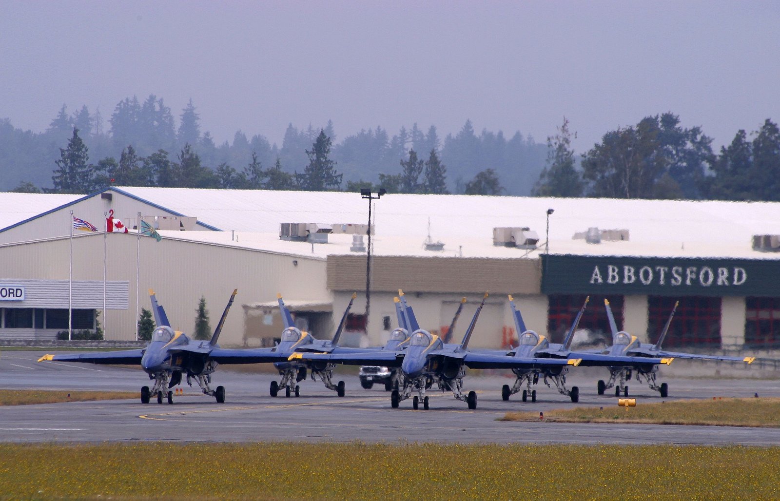 a 18, Hornet Wallpaper