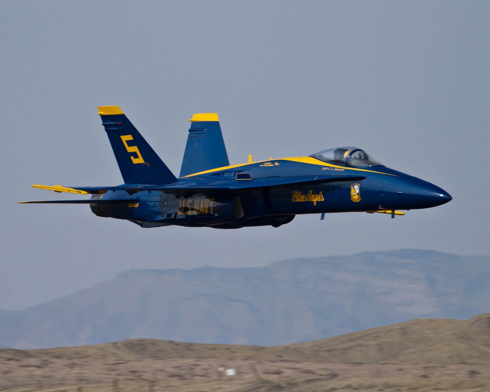 a 18, Hornet Wallpaper