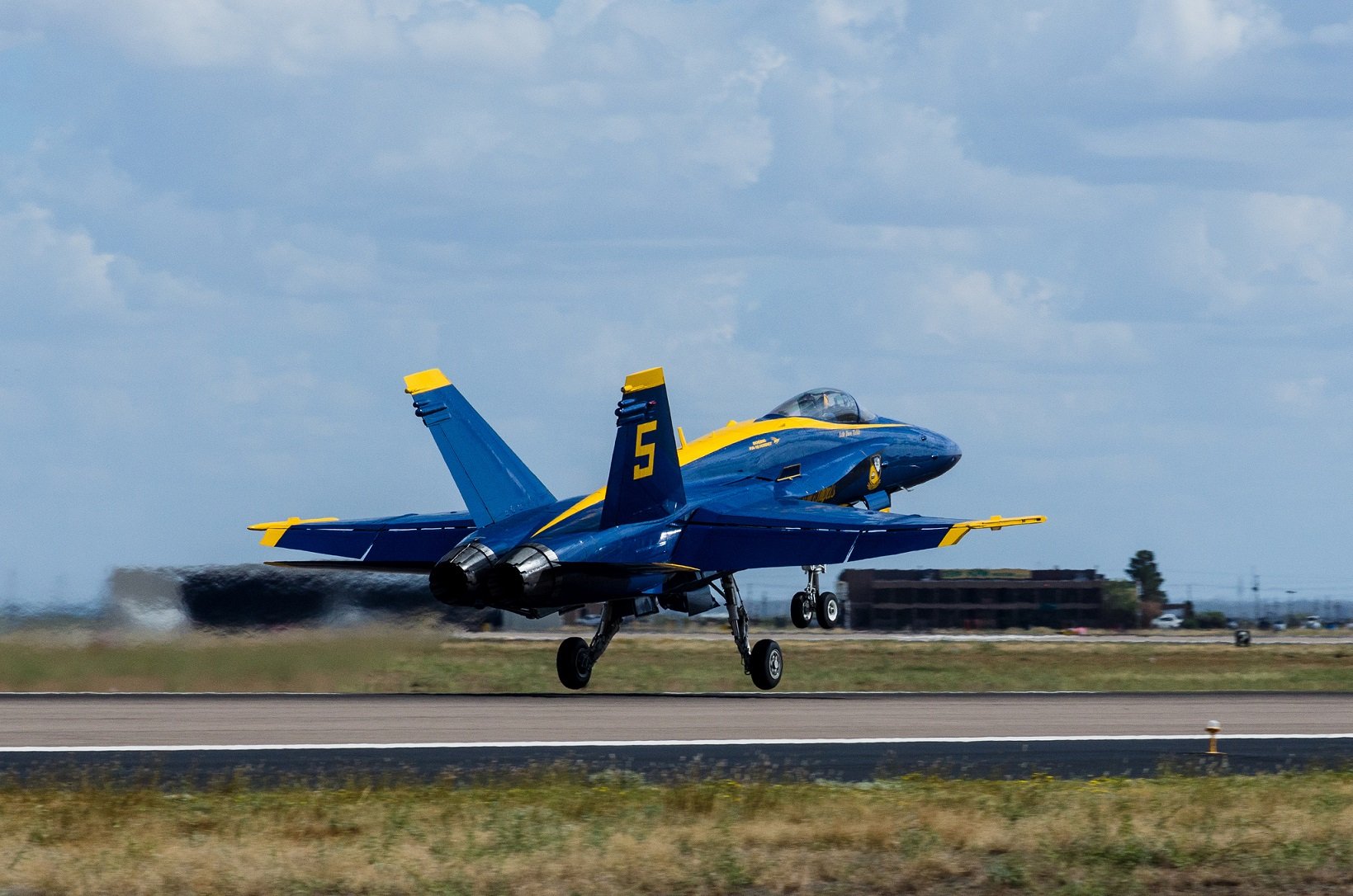 a 18, Hornet Wallpaper