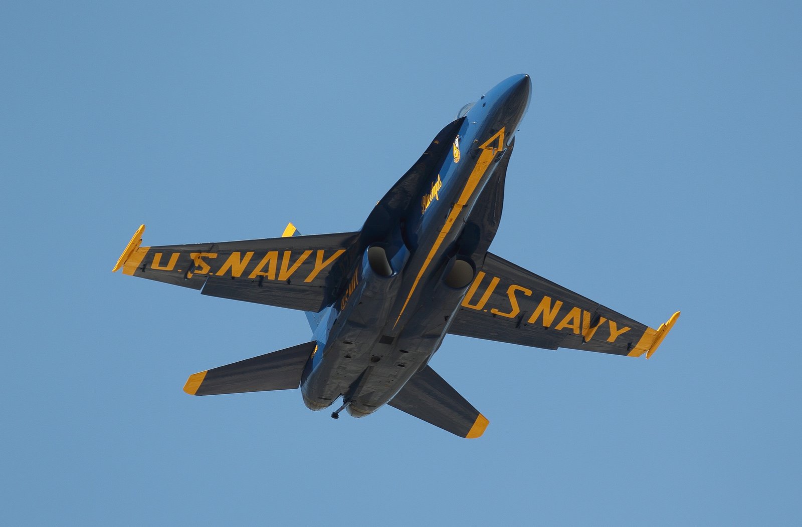 a 18, Hornet Wallpaper