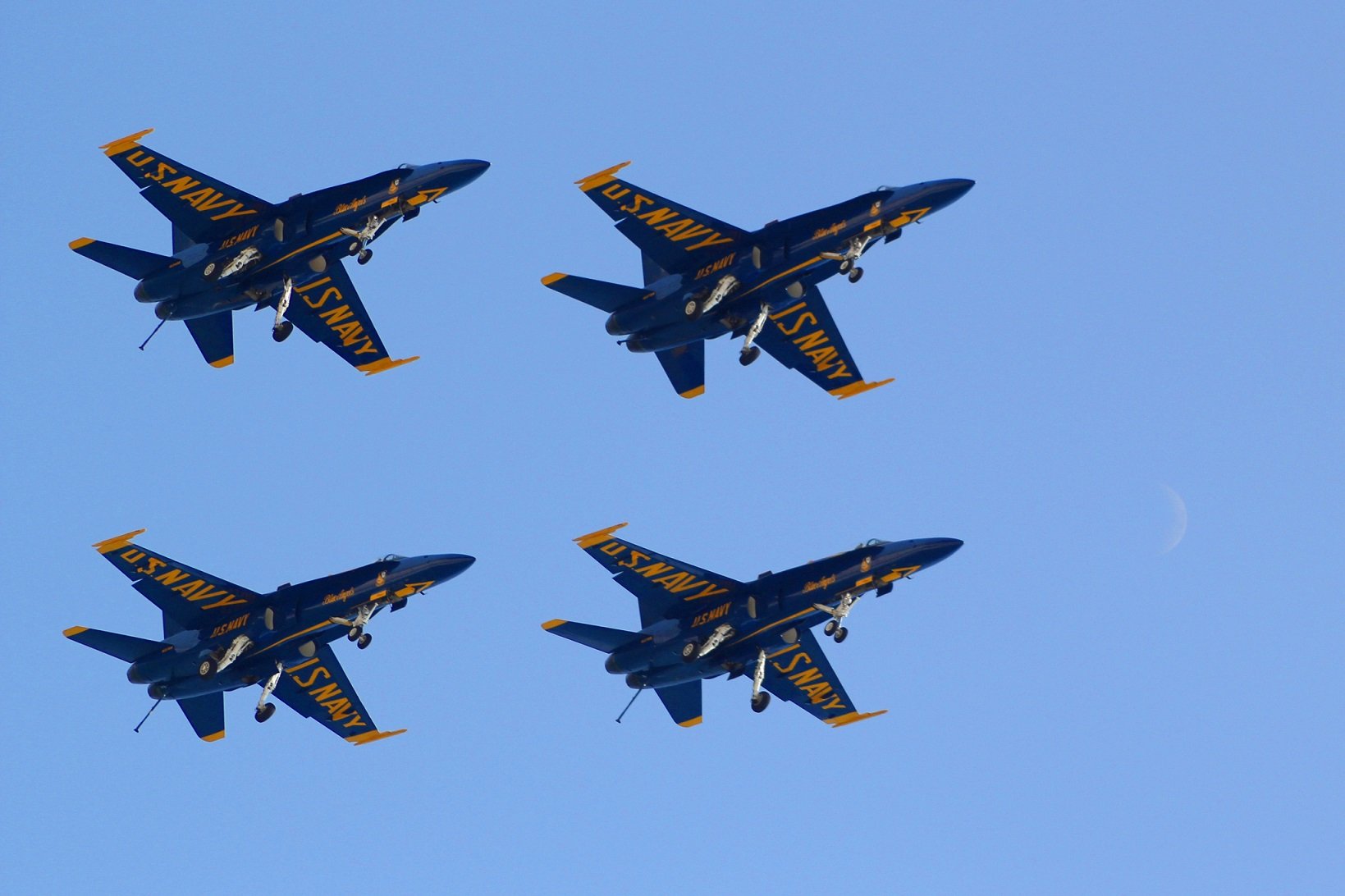 a 18, Hornet Wallpaper