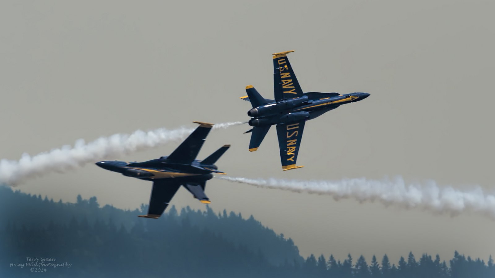 a 18, Hornet Wallpaper