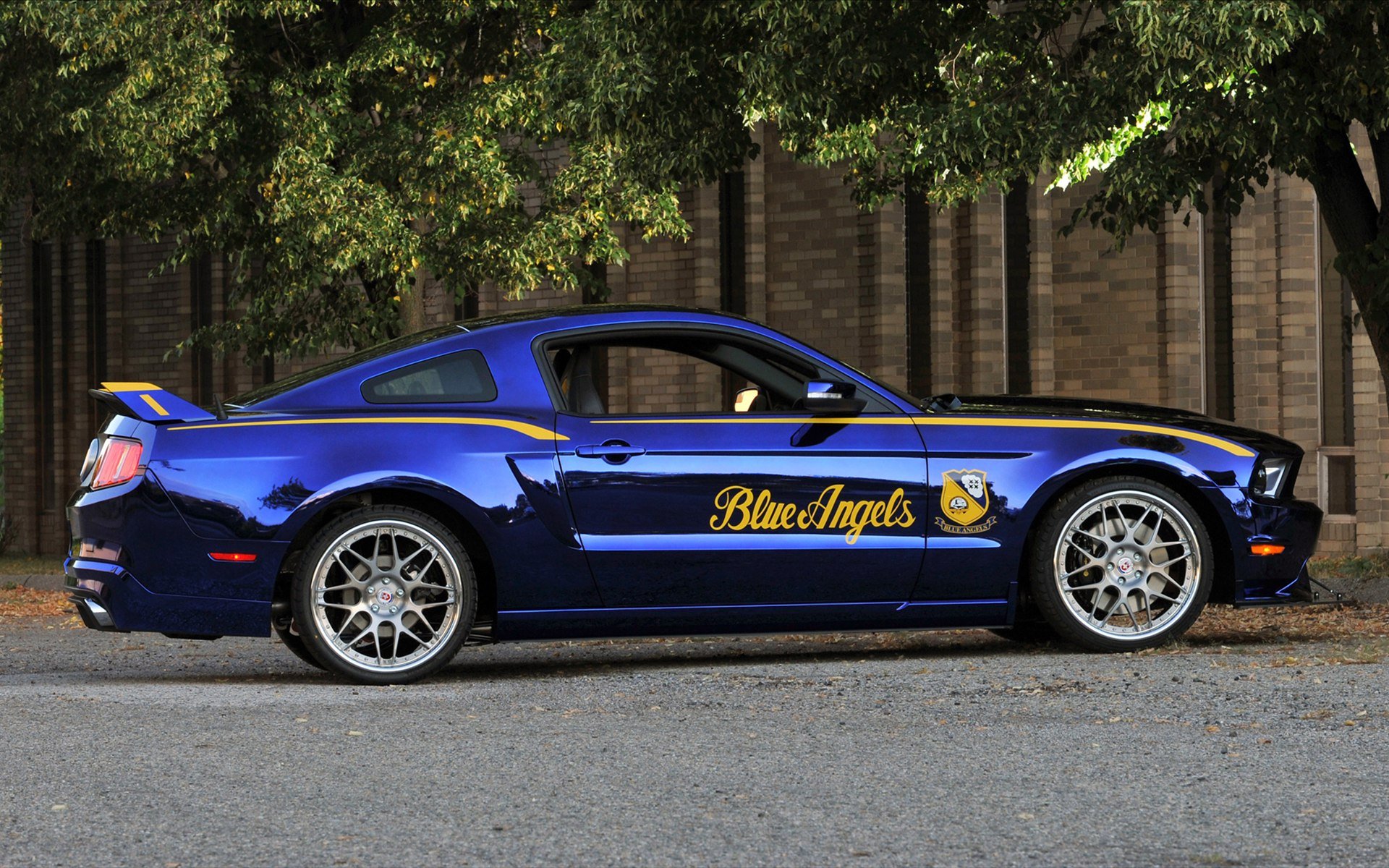 ford, Mustang, Gt, Blue, Angel, Edition Wallpaper