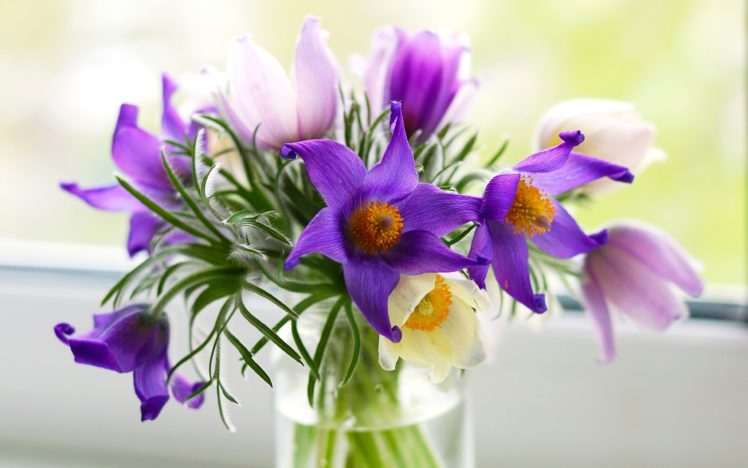 flowers, Purple, Vase, Nature HD Wallpaper Desktop Background
