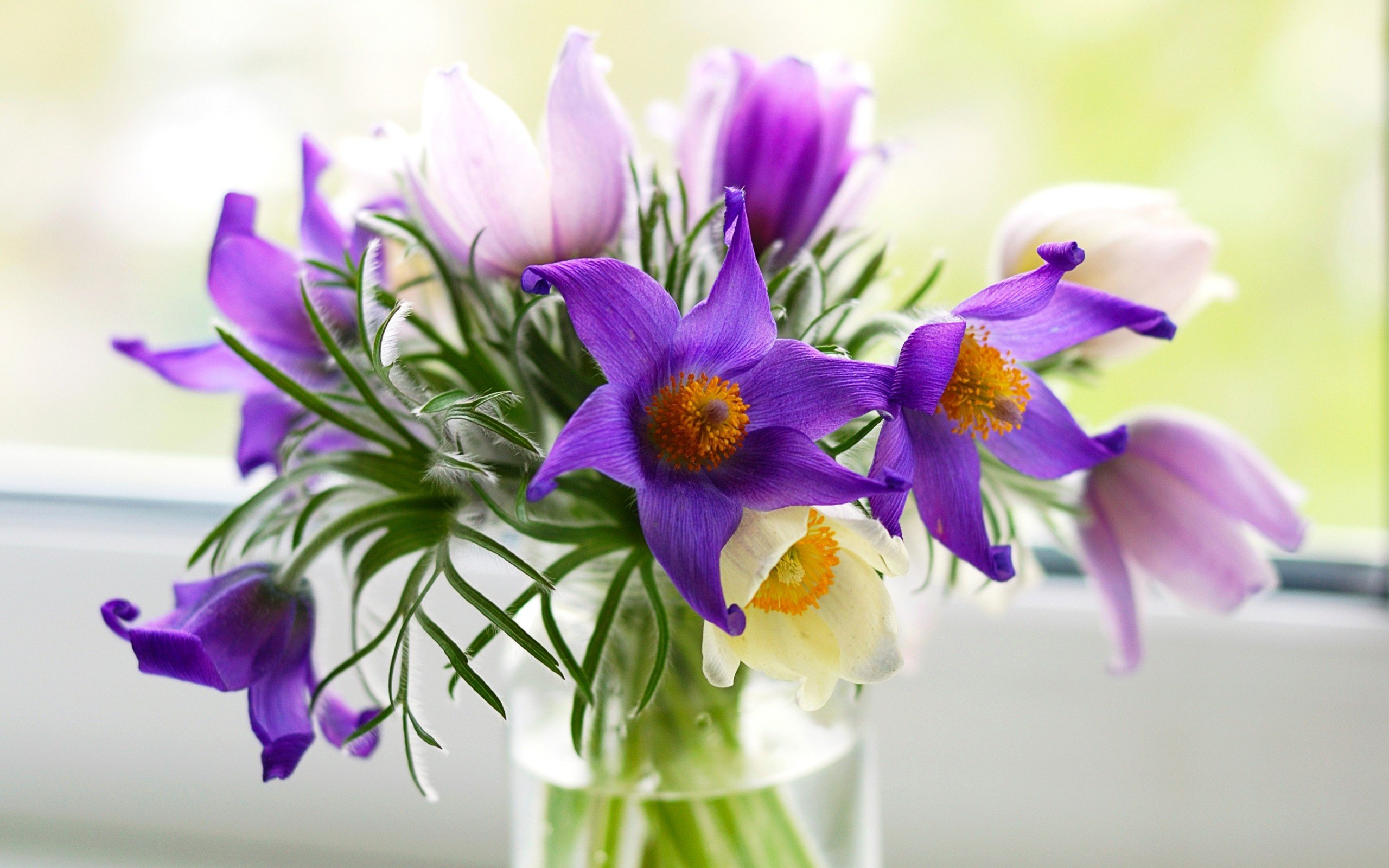 flowers, Purple, Vase, Nature Wallpaper