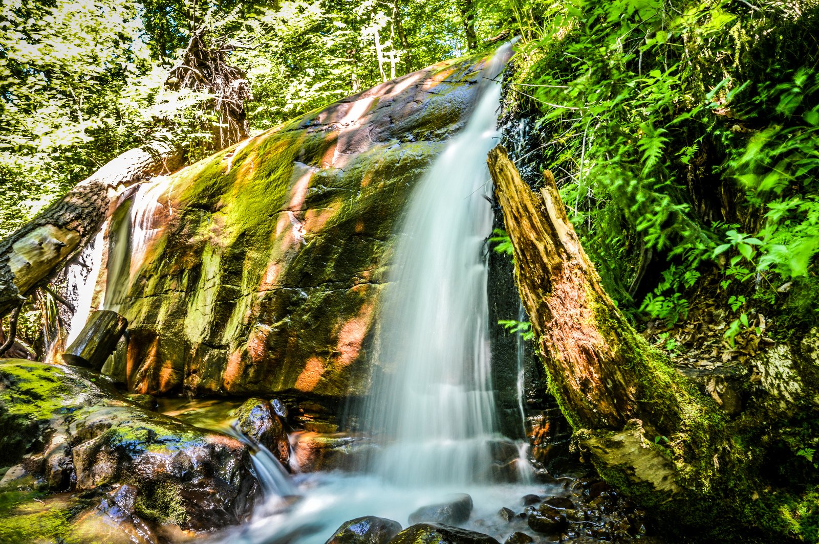 canada, Forest, Jungle, River, Rocks, Stones, Waterfalls Wallpaper