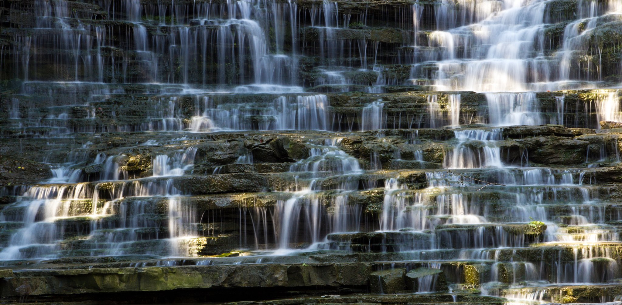 canada, Forest, Jungle, River, Rocks, Stones, Waterfalls Wallpaper