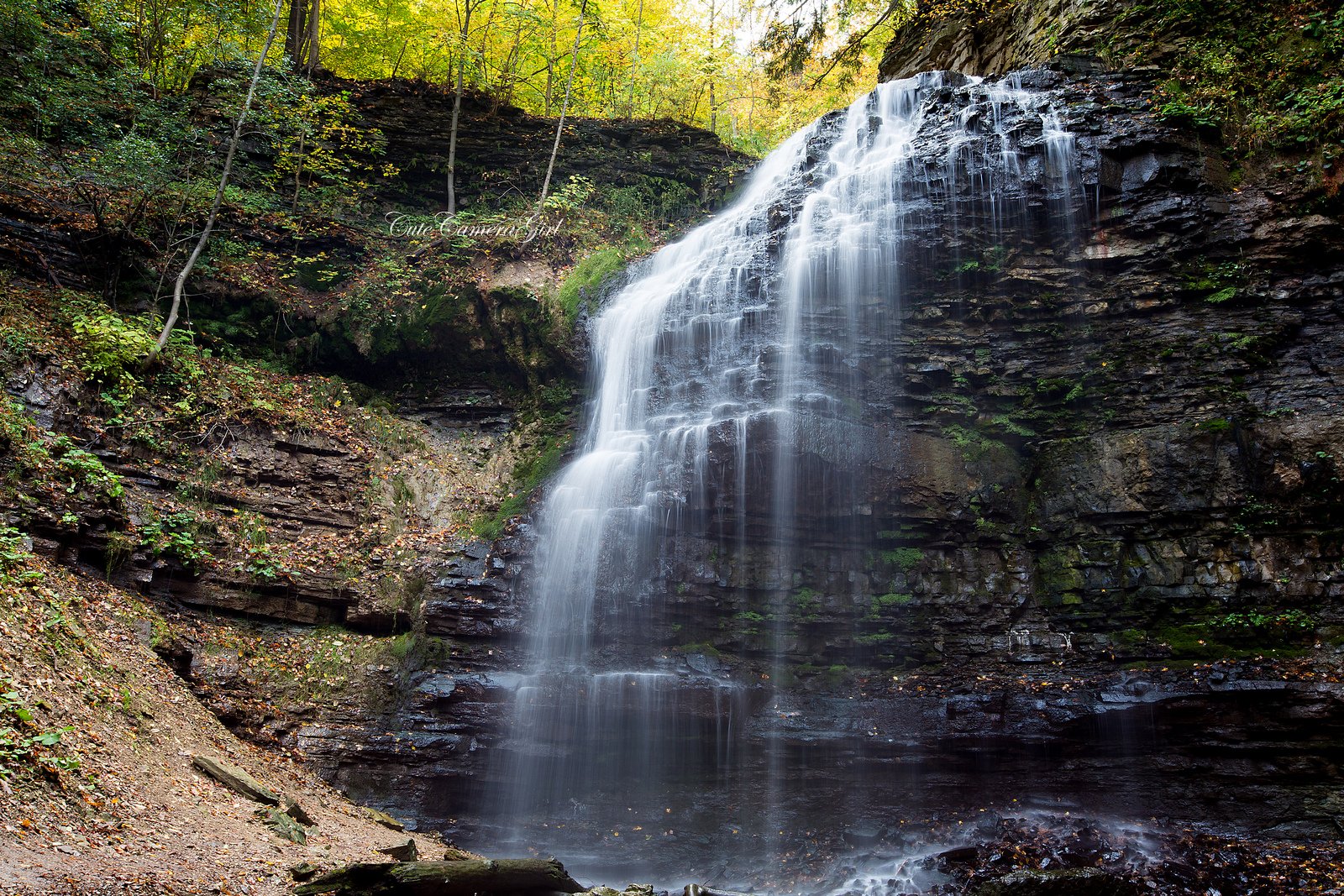 canada, Forest, Jungle, River, Rocks, Stones, Waterfalls Wallpaper
