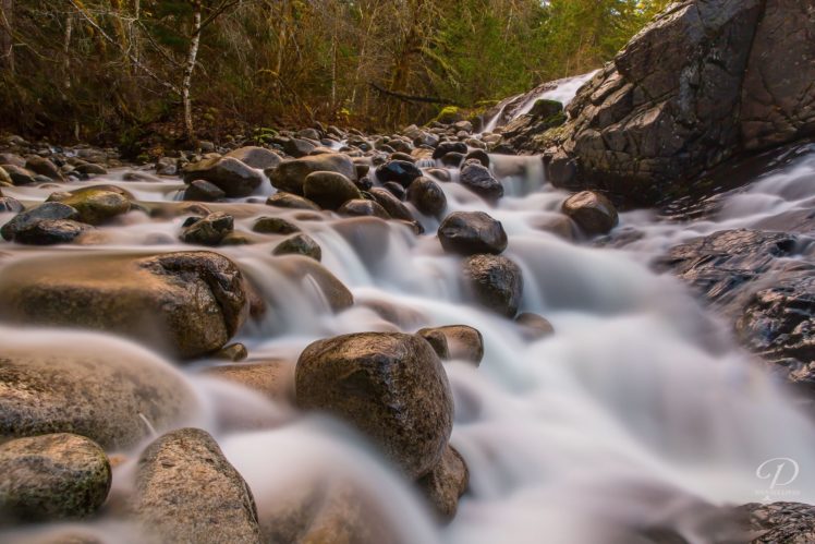 canada, Forest, Jungle, River, Rocks, Stones, Waterfalls HD Wallpaper Desktop Background