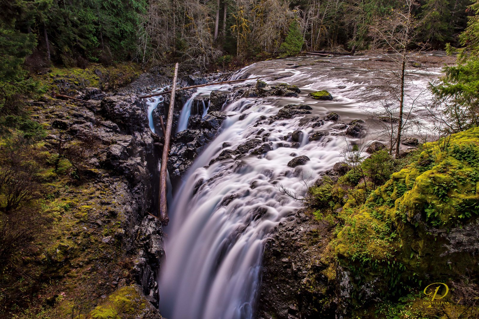 canada, Forest, Jungle, River, Rocks, Stones, Waterfalls Wallpaper