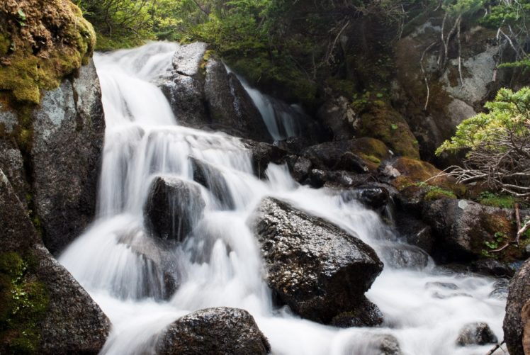 canada, Forest, Jungle, River, Rocks, Stones, Waterfalls HD Wallpaper Desktop Background