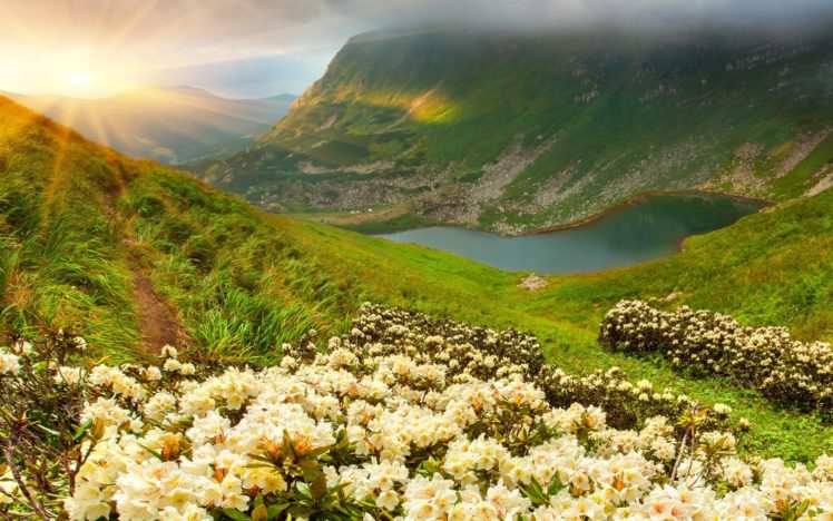 lake, Mountain, Forest, Sky, Spring HD Wallpaper Desktop Background