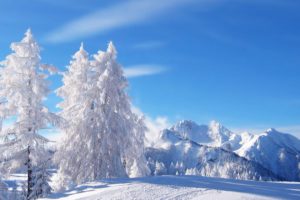 snow, Nature, Winter, Trees, Mountain, White, Idilic