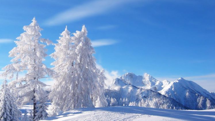 snow, Nature, Winter, Trees, Mountain, White, Idilic HD Wallpaper Desktop Background