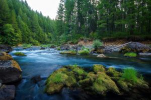 river, Wild, Nature, Forest, Green, Rocks