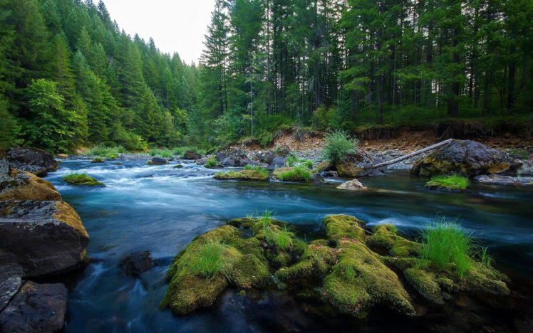 river, Wild, Nature, Forest, Green, Rocks HD Wallpaper Desktop Background