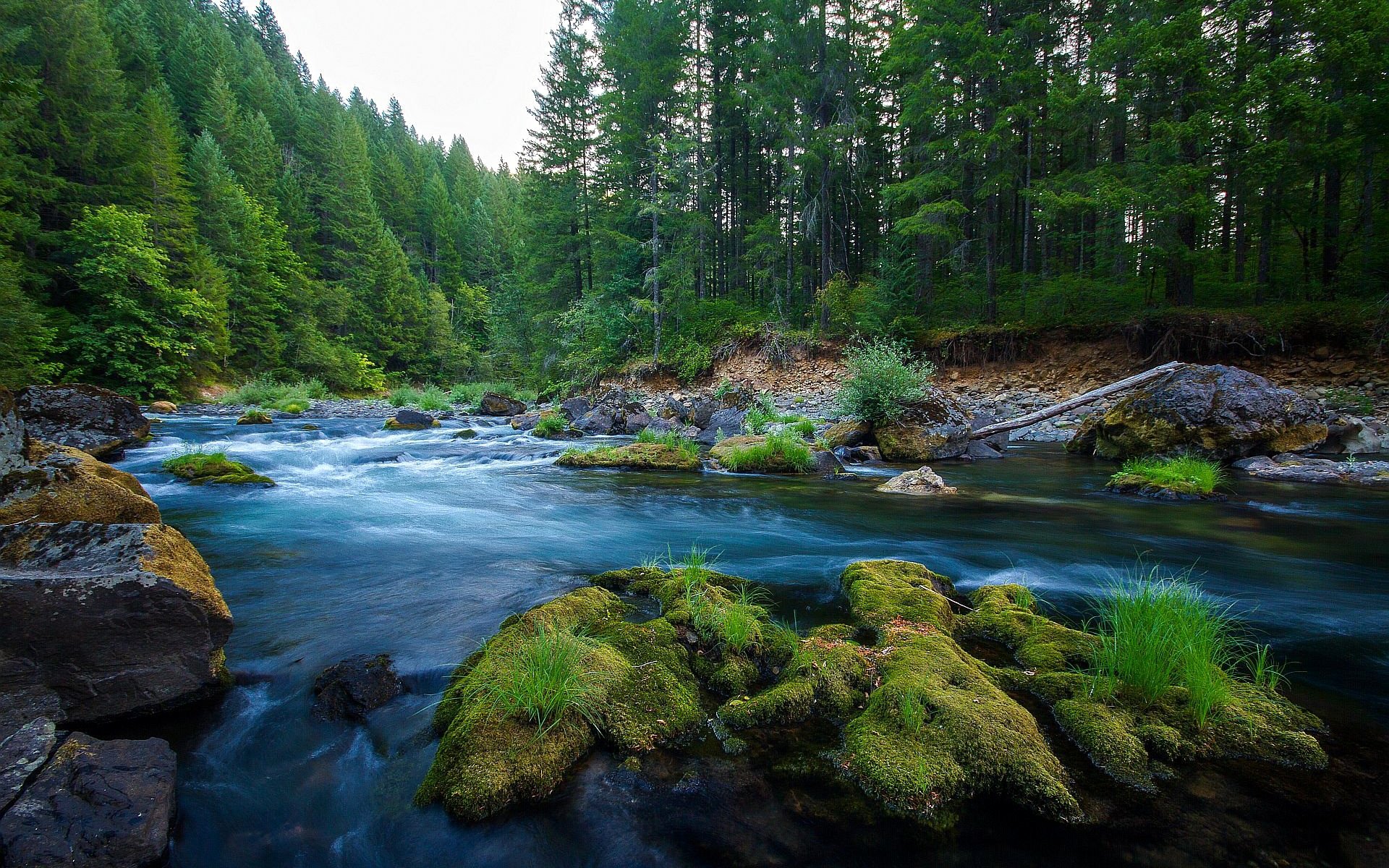 river, Wild, Nature, Forest, Green, Rocks Wallpaper