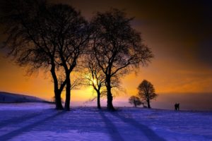 winter, Sunset, Nature, Trees