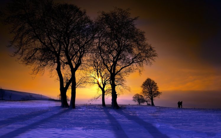 winter, Sunset, Nature, Trees HD Wallpaper Desktop Background