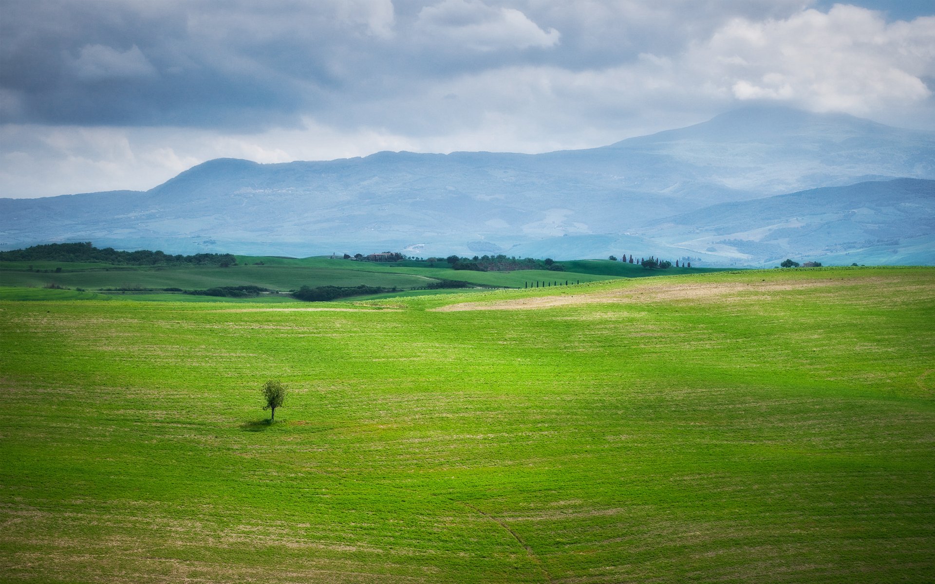 mountain, Green, Nature, Filed, Tree, Alone Wallpaper