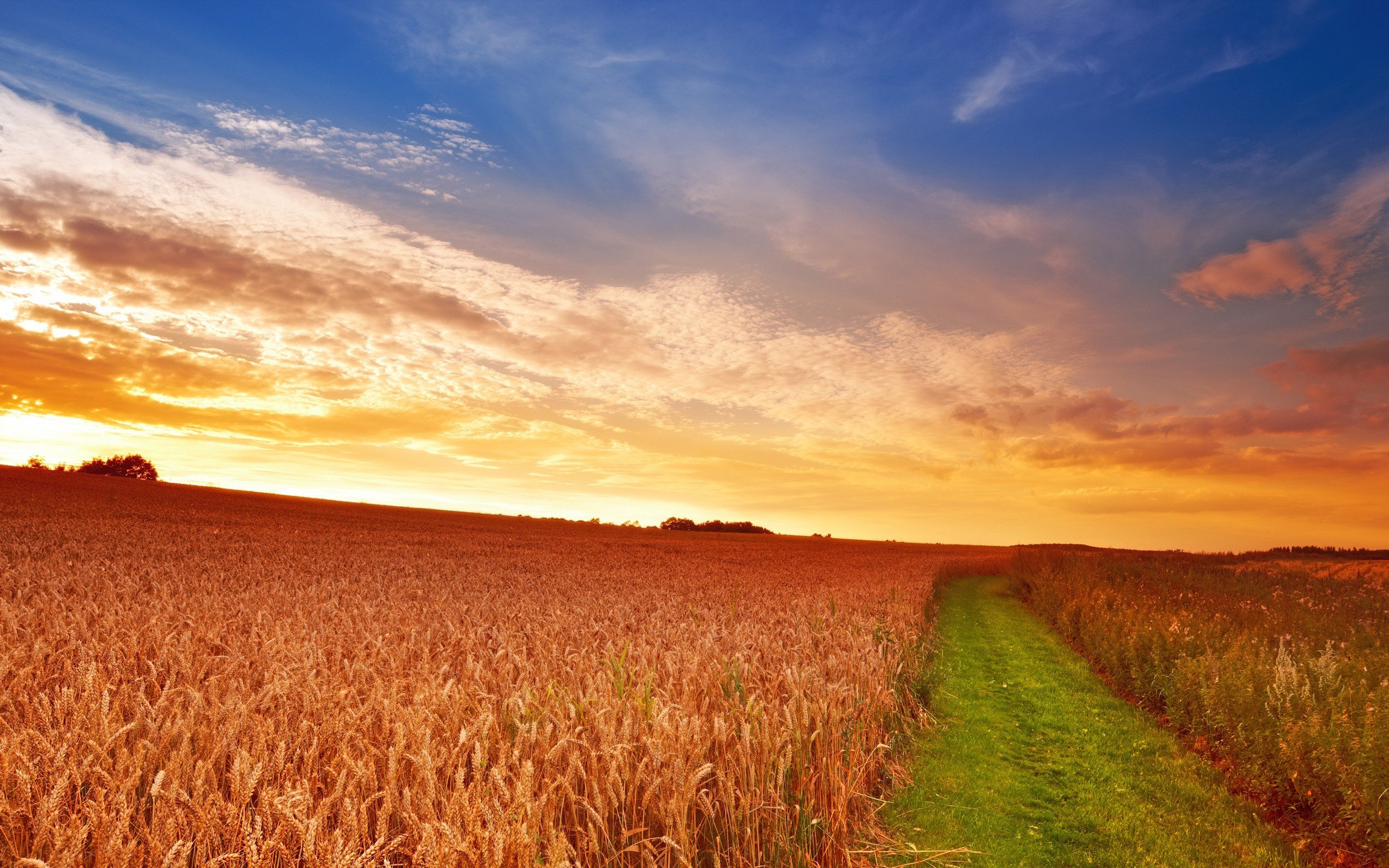 filed, Nature, Sunset, Sky, Orange, Road, Village Wallpaper
