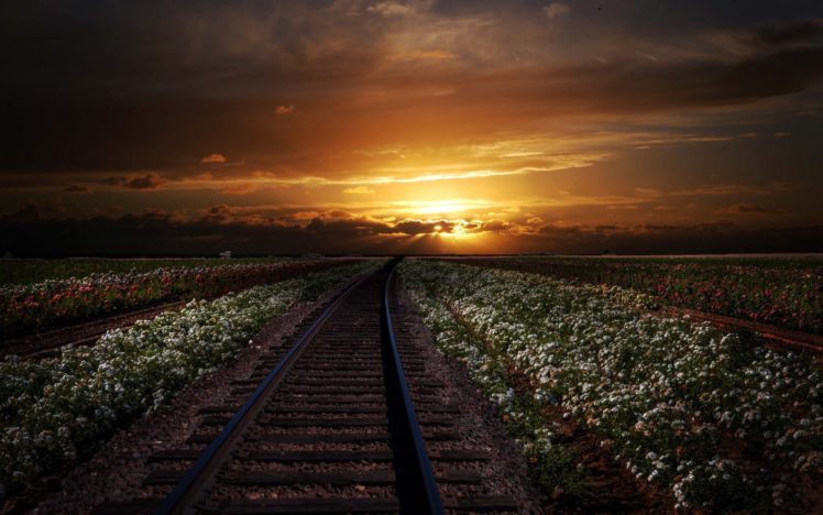 rails, Sunset, Nature, Flowers HD Wallpaper Desktop Background