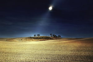 beams, Rays, Moonlight, Moon, Night, Sky, Landscapes, Fields, Farm, Wheat, Hill, Trees