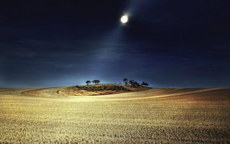 beams, Rays, Moonlight, Moon, Night, Sky, Landscapes, Fields, Farm, Wheat, Hill, Trees HD Wallpaper Desktop Background
