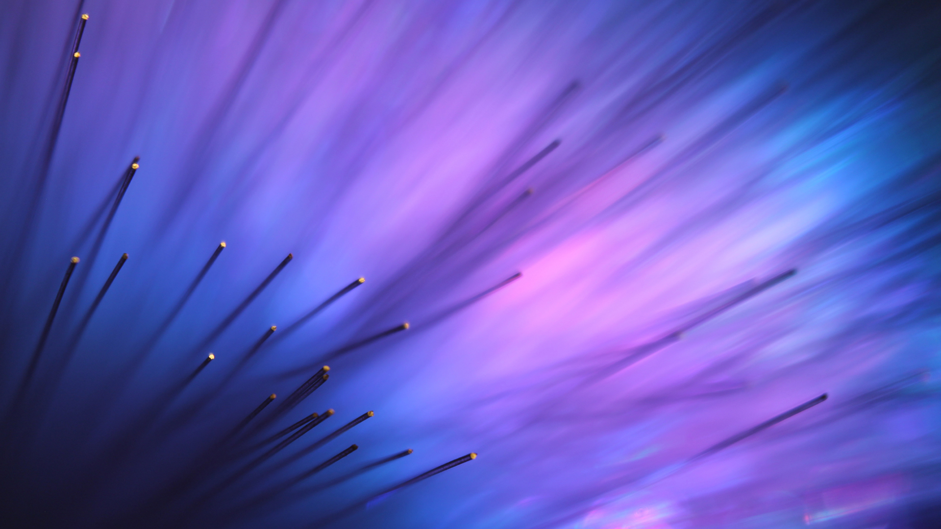 fiber, Optics, Macro, Pattern, Light, Psychedelic, Purple, Texture, Tech Wallpaper